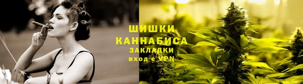 PSILOCYBIN Бугульма