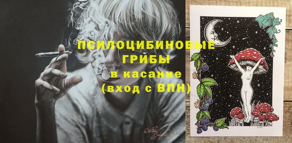 сатива Бородино