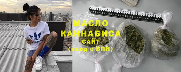сатива Бородино