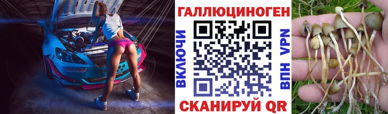 как найти закладки  ОМГ ОМГ   Галлюциногенные грибы Psilocybe  Корсаков 
