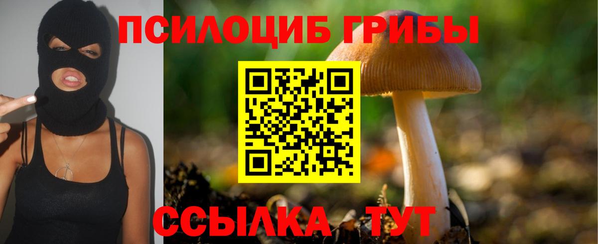 Галлюциногенные грибы Cubensis  Вход с VPN  Корсаков  Псилоцибиновые грибы Magic Shrooms 