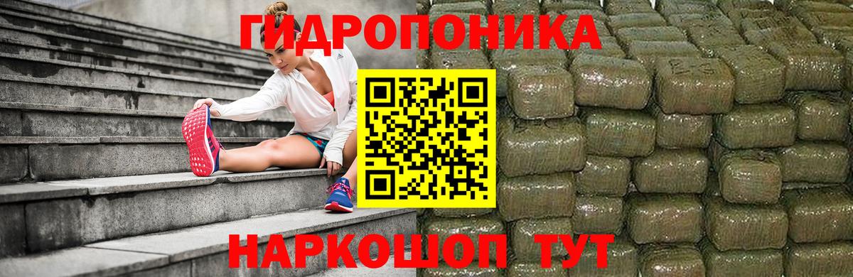 Марихуана семена Корсаков
